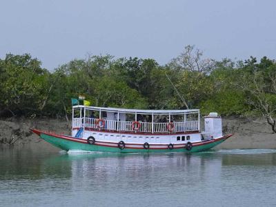 Go Sundarban Safari